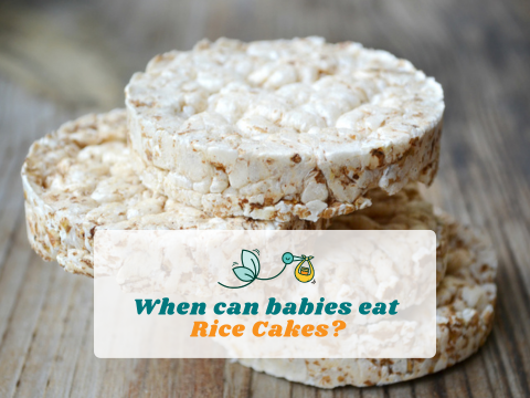 Best rice cakes sales for babies