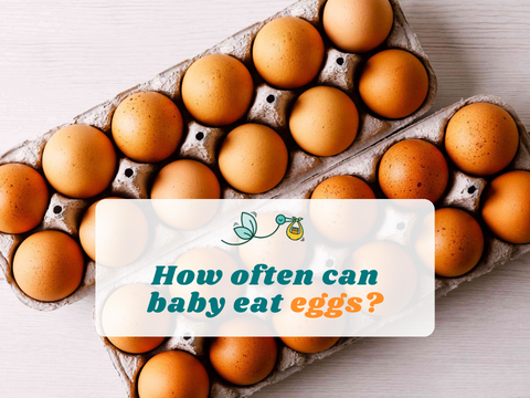 How many times a week should baby eat eggs Little Melly