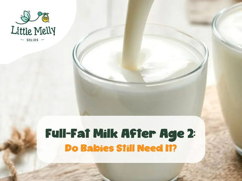 Full-Fat Milk After Age 2: Do Babies Still Need It?
